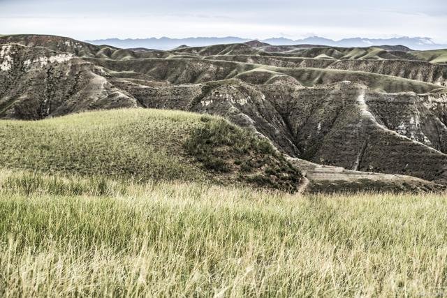 “掏肠恶魔”乔建国案，凶手变态至极，后来怎样？