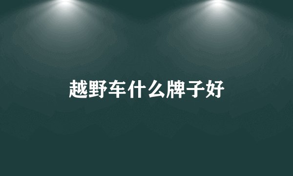 越野车什么牌子好