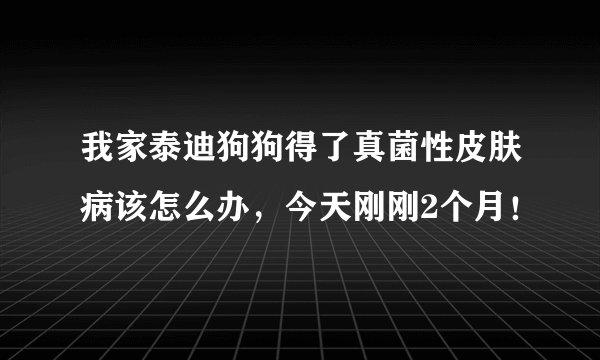 我家泰迪狗狗得了真菌性皮肤病该怎么办，今天刚刚2个月！