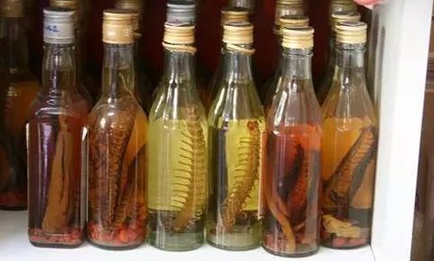 活蜈蚣泡酒有什么作用