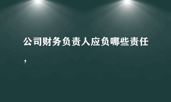 公司财务负责人应负哪些责任，