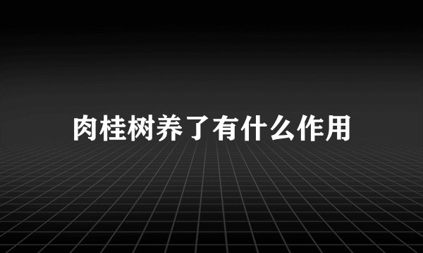 肉桂树养了有什么作用