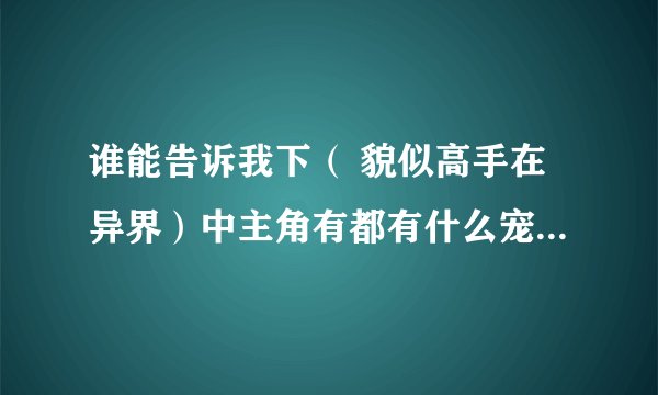 谁能告诉我下（ 貌似高手在异界）中主角有都有什么宠物及宠物的能力，主角的女人有几个，越详细越好。谢了