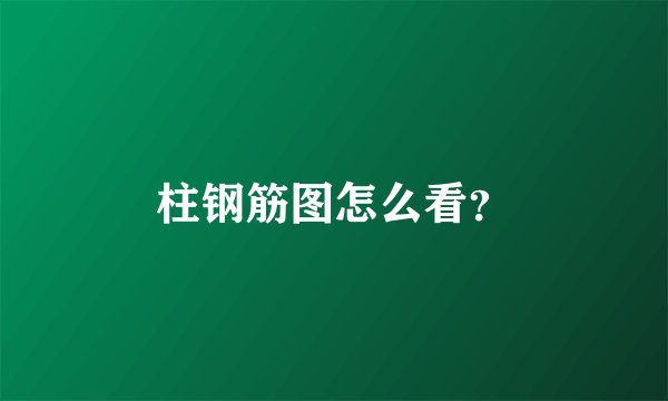 柱钢筋图怎么看？