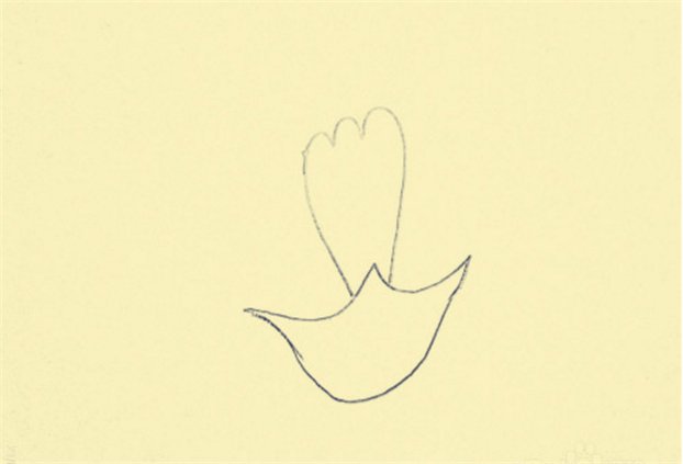 简单的康乃馨怎么画