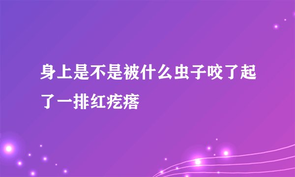身上是不是被什么虫子咬了起了一排红疙瘩
