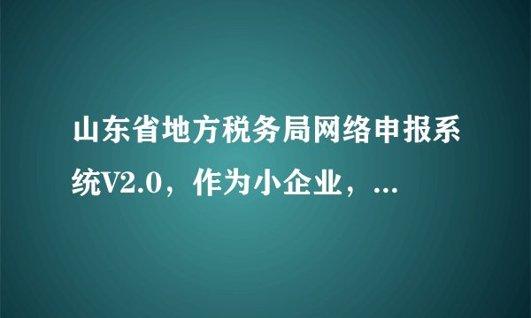 山东省地方税务局网络申报系统V2.0，作为小企业，所得税申报表该如何填写？要详细的，急求！