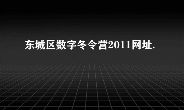 东城区数字冬令营2011网址.
