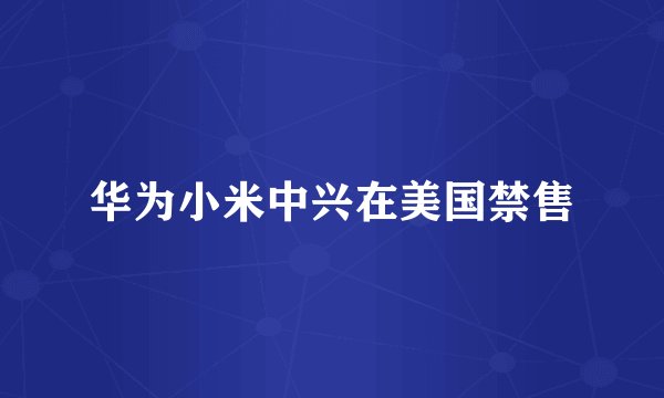 华为小米中兴在美国禁售