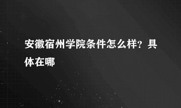 安徽宿州学院条件怎么样？具体在哪