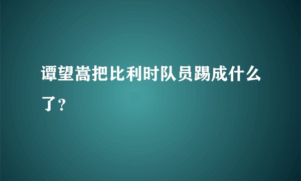 谭望嵩把比利时队员踢成什么了？