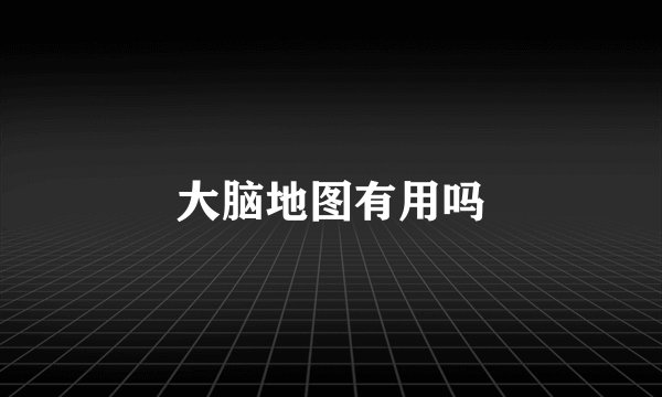 大脑地图有用吗