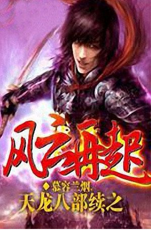 天龙八部续之风云再起的人物介绍