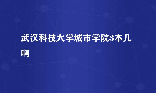 武汉科技大学城市学院3本几啊