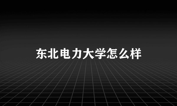 东北电力大学怎么样