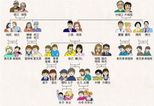 兄弟姐妹属于直系亲属吗