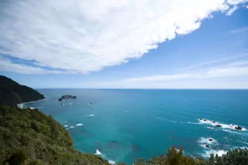 去新西兰旅游要多少钱