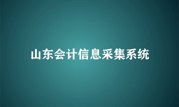 山东会计信息采集系统