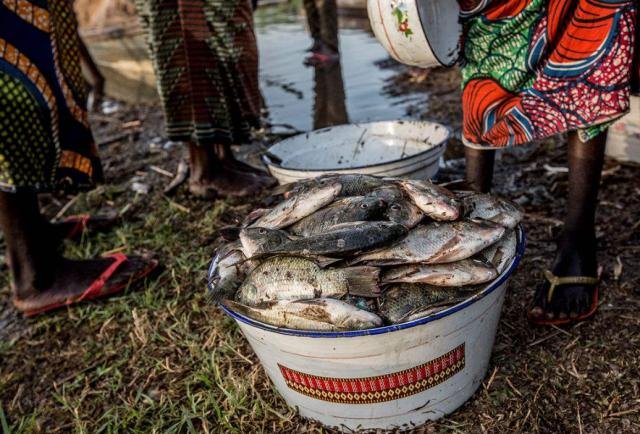 乍得共和国为什么会这么穷？