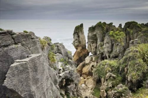 去新西兰旅游要多少钱