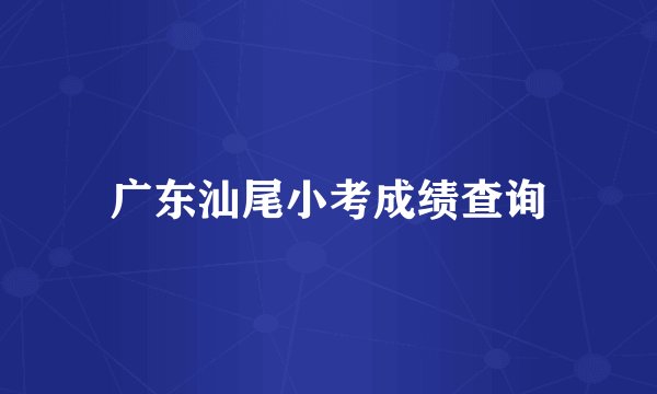 广东汕尾小考成绩查询