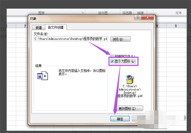 为何在EXCEL中插入一个PDF文件后，却显示不能插入对象