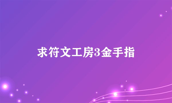 求符文工房3金手指