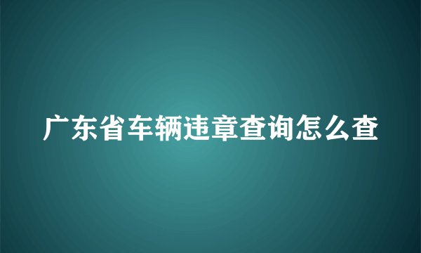广东省车辆违章查询怎么查