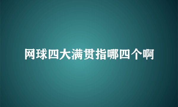 网球四大满贯指哪四个啊
