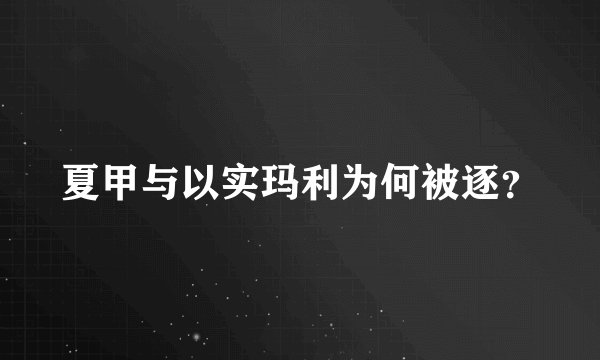 夏甲与以实玛利为何被逐？