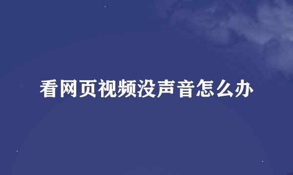 看网页视频没声音怎么办