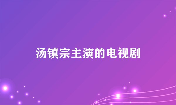 汤镇宗主演的电视剧