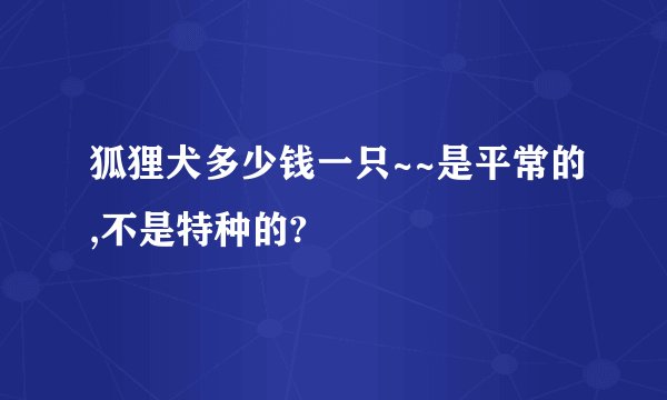 狐狸犬多少钱一只~~是平常的,不是特种的?