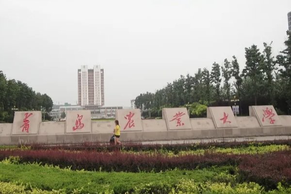 青岛农业大学怎么样啊