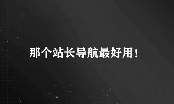 那个站长导航最好用！