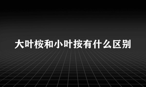 大叶桉和小叶按有什么区别