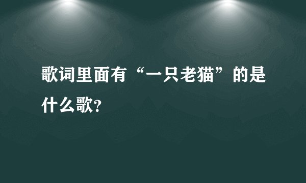 歌词里面有“一只老猫”的是什么歌？