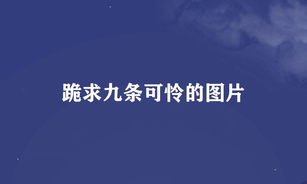 跪求九条可怜的图片
