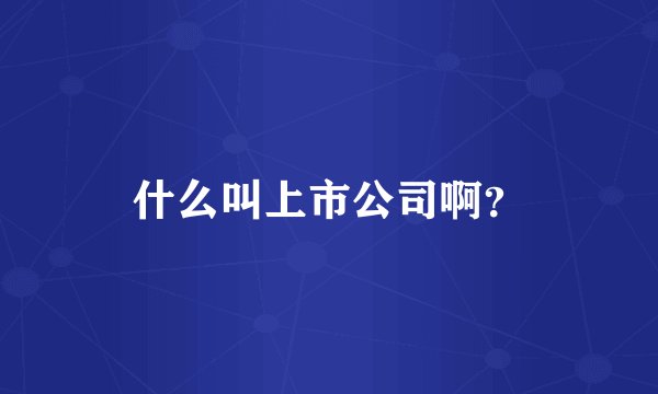 什么叫上市公司啊？