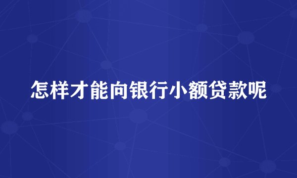 怎样才能向银行小额贷款呢