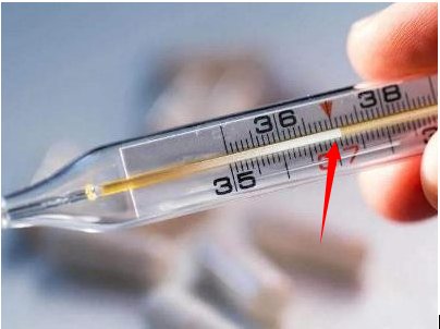 怎么看水银温度计？我看不到里面的水银？