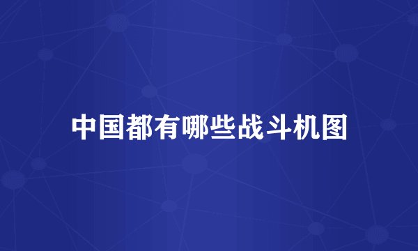 中国都有哪些战斗机图