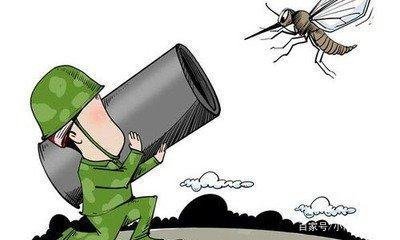 蚊子实在太讨厌了，如果蚊子灭绝了世界会怎样？