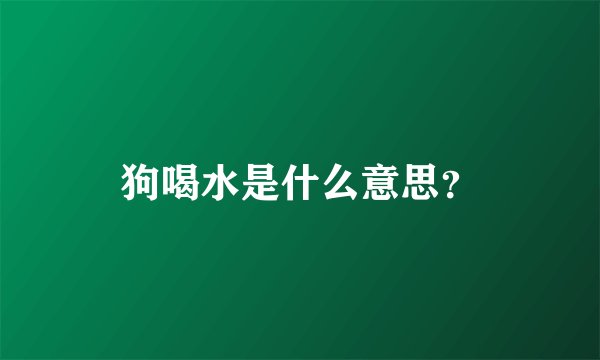 狗喝水是什么意思？