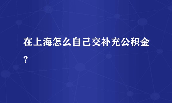 在上海怎么自己交补充公积金？