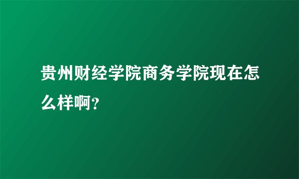 贵州财经学院商务学院现在怎么样啊？