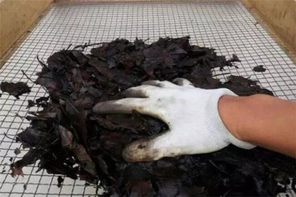 家庭养花如何自制酸性土壤