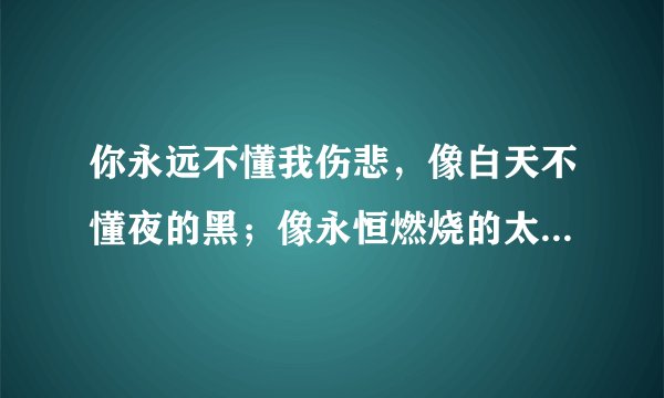 你永远不懂我伤悲，像白天不懂夜的黑；像永恒燃烧的太阳；不懂那月亮的盈缺。具体是什么意思？