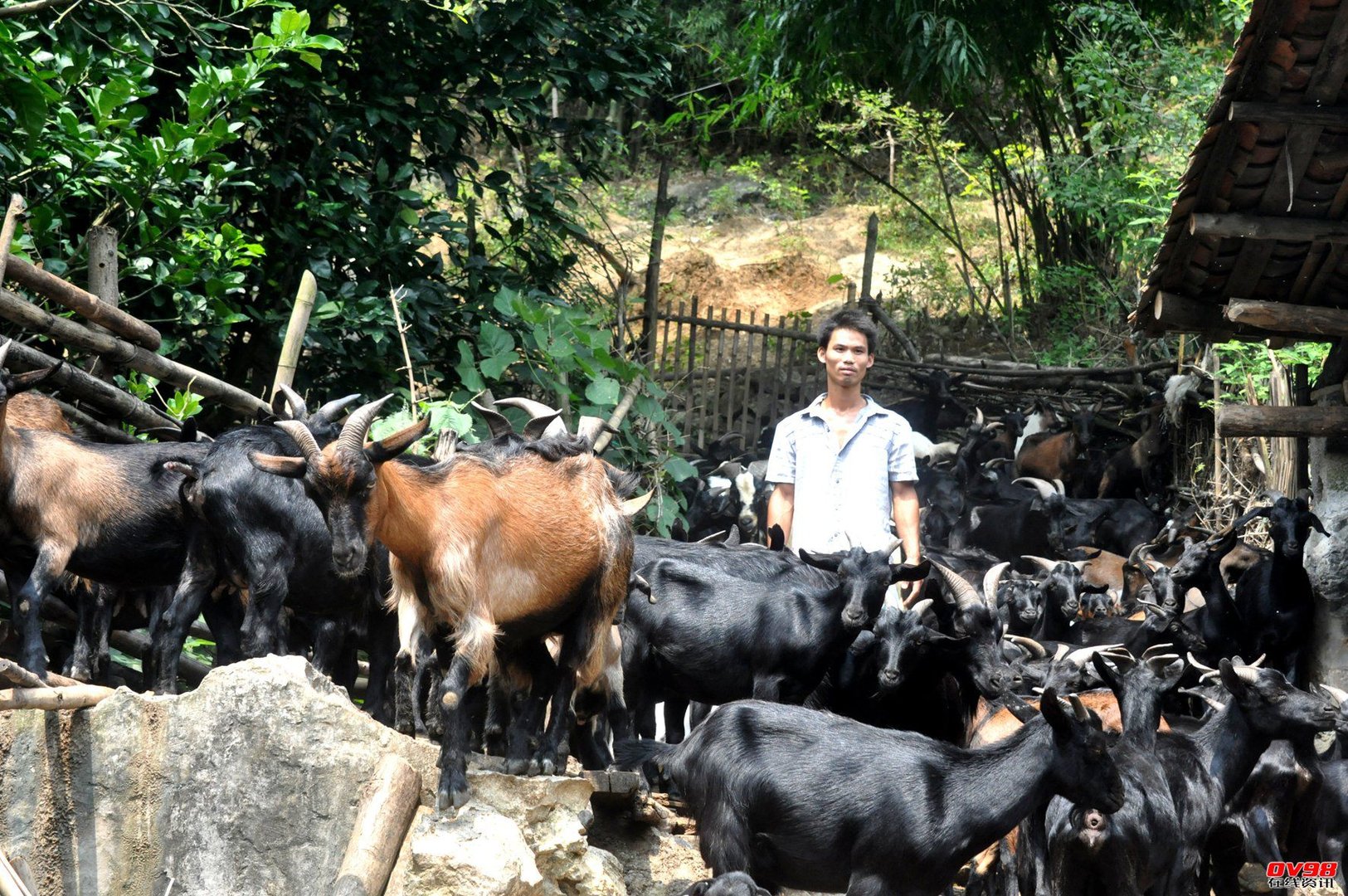 韦志鹏的人物履历