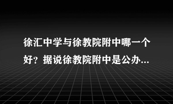 徐汇中学与徐教院附中哪一个好？据说徐教院附中是公办学校第一的，但徐汇中学又是市重点，纠结。。。。。